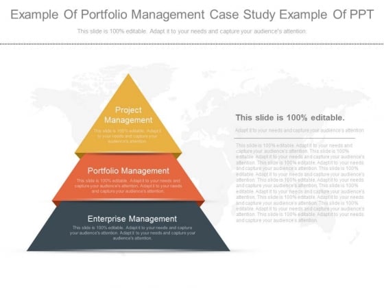 Portfolio management case study