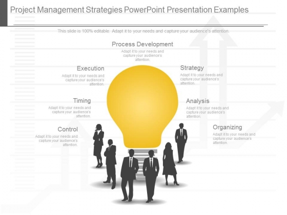 project management presentation example