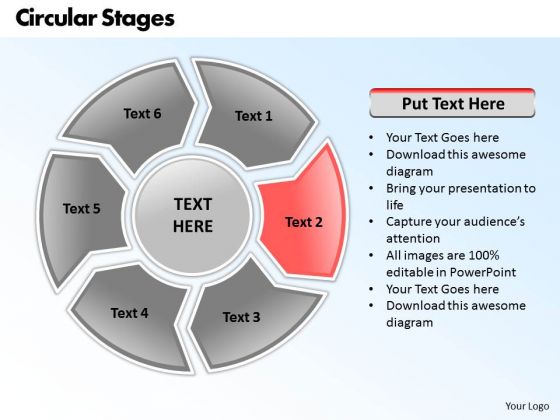 Process essay ppt