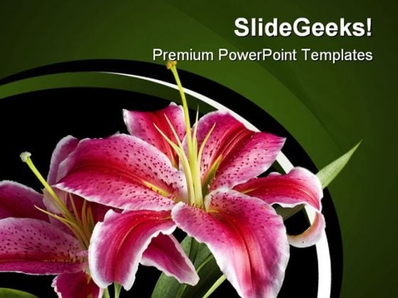 powerpoint backgrounds flowers. Lily Flowers Beauty PowerPoint