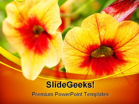 powerpoint backgrounds flowers. And PowerPoint Backgrounds