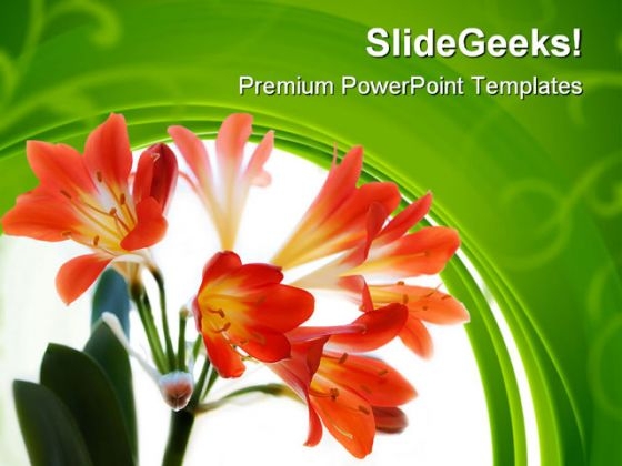 powerpoint backgrounds flowers. Red Flowers Beauty PowerPoint