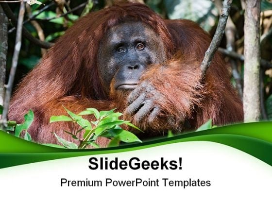 PowerPoint Backgrounds And PowerPoint Backgrounds And