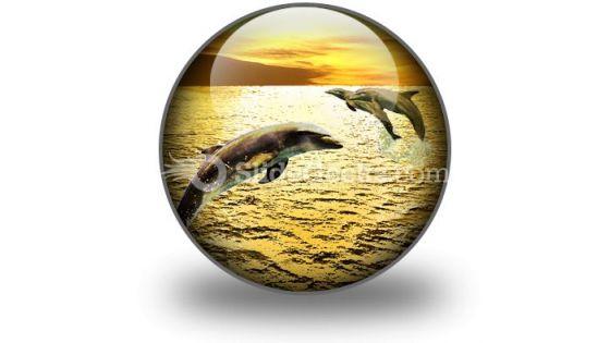 dolphins_powerpoint_icon_c.jpg