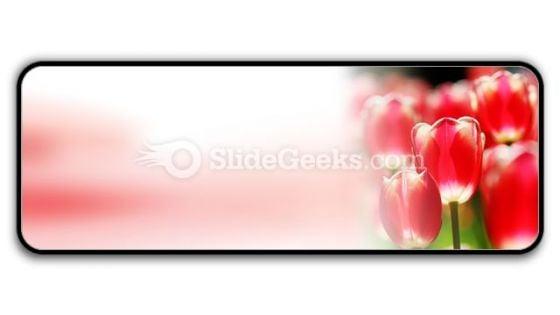 red_tulips_powerpoint_icon_r.jpg