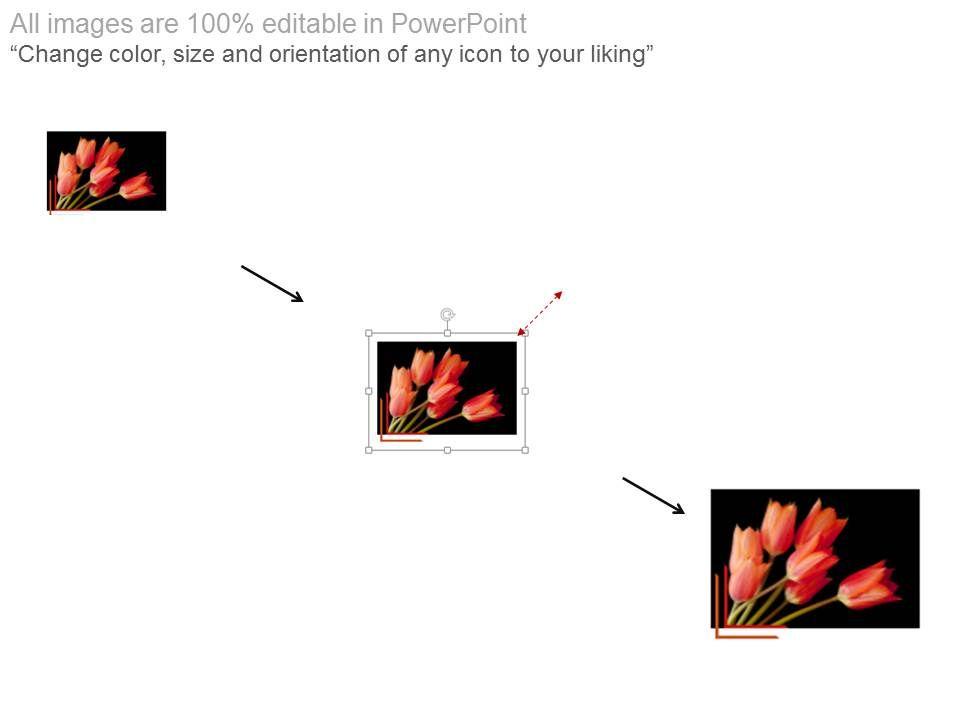 default_img