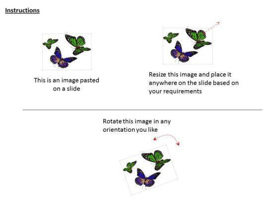 default_img