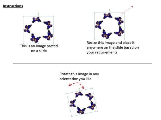 default_img