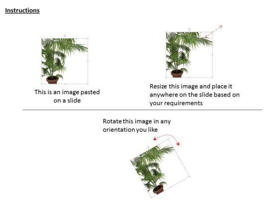 default_img