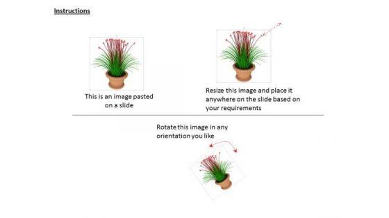 0814_colorful_plant_potted_for_environment_image_graphics_for_powerpoint_2.jpg
