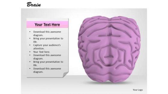 0814_stock_photo_3d_model_of_human_brain_powerpoint_slide_1.jpg