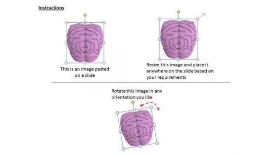 0814_stock_photo_3d_model_of_human_brain_powerpoint_slide_2.jpg