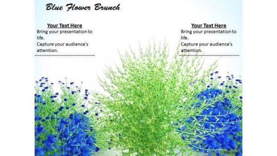 0814_stock_photo_blue_flowers_with_green_grass_powerpoint_slide_1.jpg