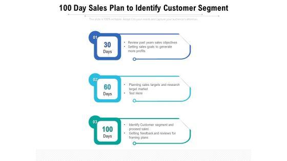 100_Day_Sales_Plan_To_Identify_Customer_Segment_Ppt_PowerPoint_Presentation_Pictures_Design_Ideas_PDF_Slide_1.jpg