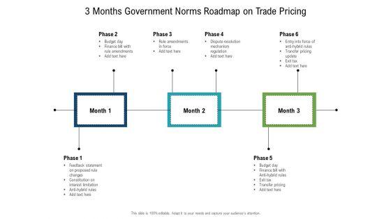 3_Months_Government_Norms_Roadmap_On_Trade_Pricing_Slides_Slide_1.jpg