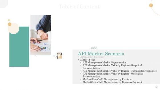 API_Management_Market_Ppt_PowerPoint_Presentation_Complete_Deck_With_Slides_Slide_12.jpg