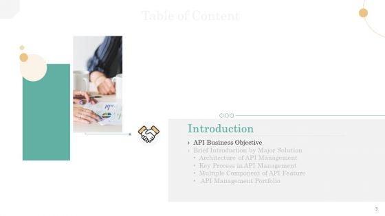 API_Management_Market_Ppt_PowerPoint_Presentation_Complete_Deck_With_Slides_Slide_3.jpg