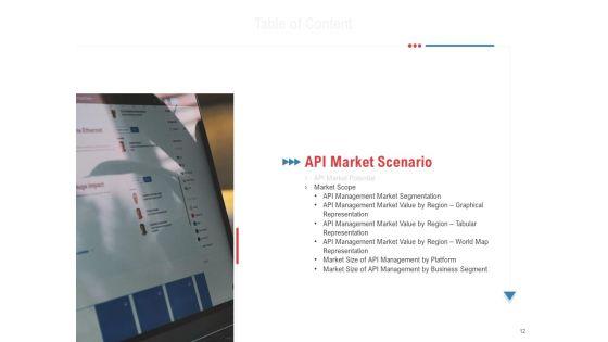 API_Outline_Ppt_PowerPoint_Presentation_Complete_Deck_With_Slides_Slide_12.jpg