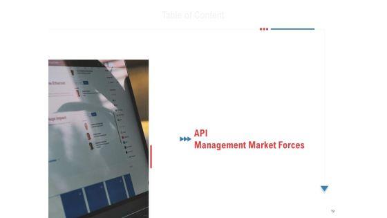 API_Outline_Ppt_PowerPoint_Presentation_Complete_Deck_With_Slides_Slide_19.jpg