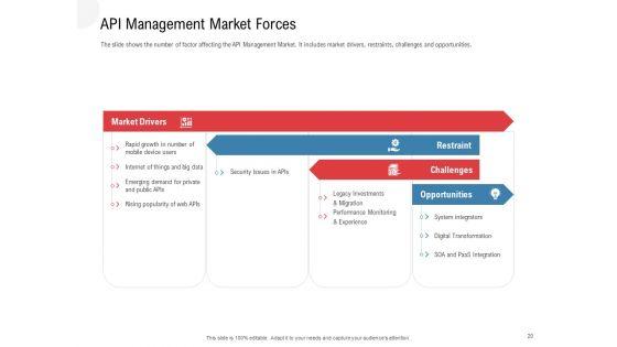 API_Outline_Ppt_PowerPoint_Presentation_Complete_Deck_With_Slides_Slide_20.jpg