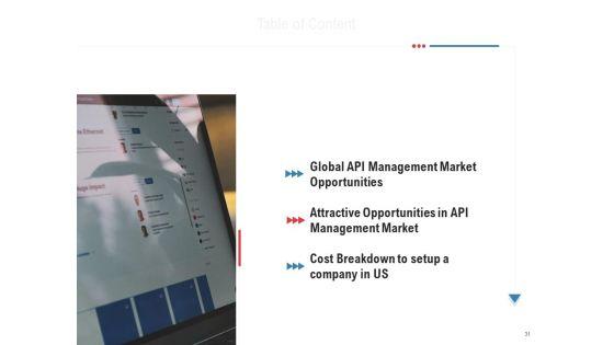 API_Outline_Ppt_PowerPoint_Presentation_Complete_Deck_With_Slides_Slide_31.jpg