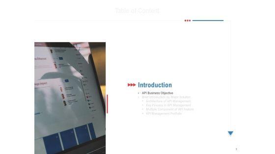 API_Outline_Ppt_PowerPoint_Presentation_Complete_Deck_With_Slides_Slide_3.jpg