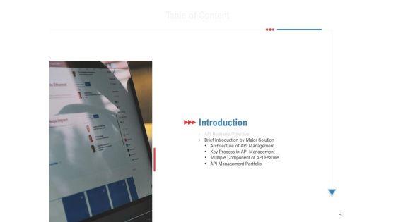 API_Outline_Ppt_PowerPoint_Presentation_Complete_Deck_With_Slides_Slide_5.jpg