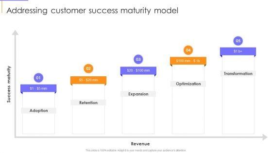 Addressing_Customer_Success_Maturity_Model_Infographics_PDF_Slide_1.jpg