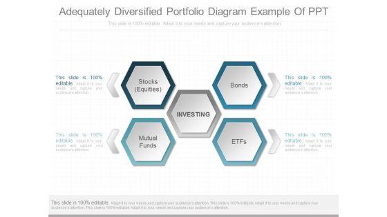 Adequately_Diversified_Portfolio_Diagram_Example_Of_Ppt_1.jpg