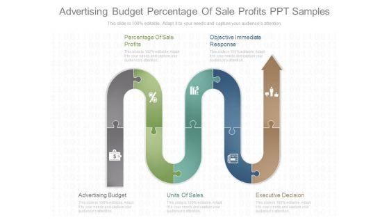 Advertising_Budget_Percentage_Of_Sale_Profits_Ppt_Samples_1.jpg