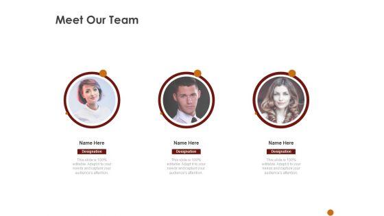 Advertising_Existing_Products_And_Services_In_The_Target_Market_Meet_Our_Team_Ppt_Ideas_Show_PDF_Slide_1.jpg