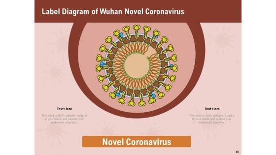 All_About_COVID_19_Pandemic_Disease_Ppt_PowerPoint_Presentation_Complete_Deck_With_Slides_Slide_48.jpg