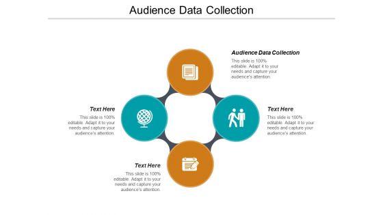 Audience_Data_Collection_Ppt_PowerPoint_Presentation_Outline_Infographics_Cpb_Slide_1.jpg