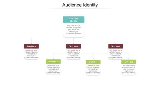 Audience_Identity_Ppt_PowerPoint_Presentation_Inspiration_Guide_Cpb_Pdf_Slide_1.jpg