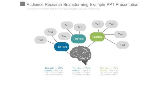 Audience_Research_Brainstorming_Example_Ppt_Presentation_1.jpg