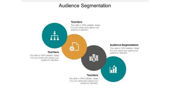Audience_Segmentation_Ppt_PowerPoint_Presentation_Model_Example_Cpb_Slide_1.jpg