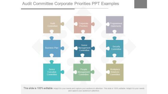 Audit Committee Corporate Priorities Ppt Examples Audit Committee Corporate Priorities Ppt Examples