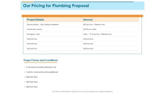 Bathroom_Fixture_Our_Pricing_For_Plumbing_Proposal_Ppt_PowerPoint_Presentation_Icon_Grid_PDF_Slide_1.jpg