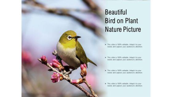 Beautiful_Bird_On_Plant_Nature_Picture_Ppt_PowerPoint_Presentation_Ideas_Model_Slide_1.jpg