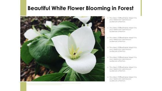 Beautiful_White_Flower_Blooming_In_Forest_Ppt_PowerPoint_Presentation_Icon_Infographics_PDF_Slide_1.jpg