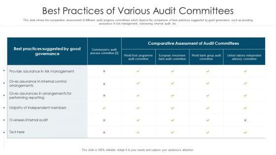 Best_Practices_Of_Various_Audit_Committees_Ppt_PowerPoint_Presentation_File_Model_PDF_Slide_1.jpg