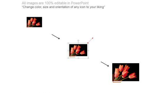 Black_Background_Lily_Flower_Thank_You_Powerpoint_Slides_2.jpg