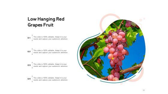 Boundlessly_Low_Hanging_Apple_Fruit_Ppt_PowerPoint_Presentation_Complete_Deck_Slide_11.jpg