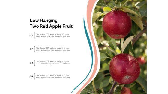 Boundlessly_Low_Hanging_Apple_Fruit_Ppt_PowerPoint_Presentation_Complete_Deck_Slide_12.jpg