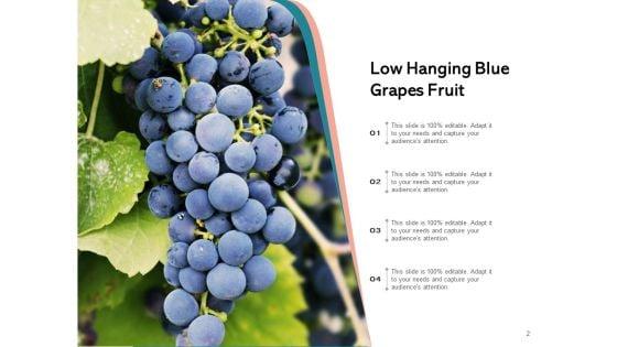 Boundlessly_Low_Hanging_Apple_Fruit_Ppt_PowerPoint_Presentation_Complete_Deck_Slide_2.jpg