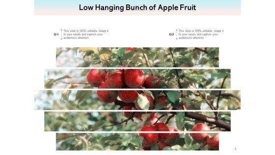 Boundlessly_Low_Hanging_Apple_Fruit_Ppt_PowerPoint_Presentation_Complete_Deck_Slide_3.jpg
