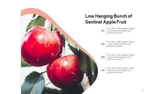 Boundlessly_Low_Hanging_Apple_Fruit_Ppt_PowerPoint_Presentation_Complete_Deck_Slide_5.jpg