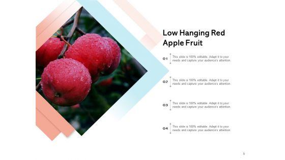 Boundlessly_Low_Hanging_Apple_Fruit_Ppt_PowerPoint_Presentation_Complete_Deck_Slide_9.jpg