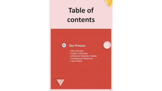 Brand_Endorsement_Services_Proposal_Example_Document_Report_Doc_Pdf_Ppt_Slide_6.jpg