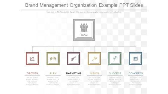 Brand_Management_Organization_Example_Ppt_Slides_1.jpg